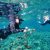 snorkling activities amed best trip